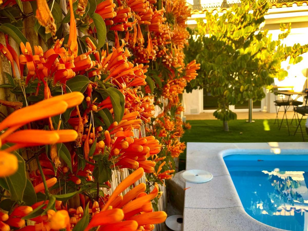 Suite Apto De Invitados- Heated Pool-Piscina Climatizada- Montes De มาลากา ภายนอก รูปภาพ